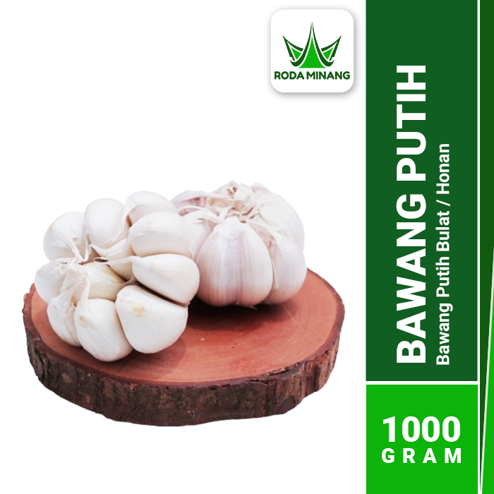 Bawang Putih Bulat Honan Banci Kering Utuh Bersih Pilihan Siung Bonggol Besar Super